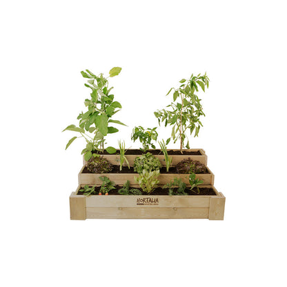 Cajón De Cultivo De Madera Tratada 120x80x40 Cm Box Stairs 120 Hortalia_3