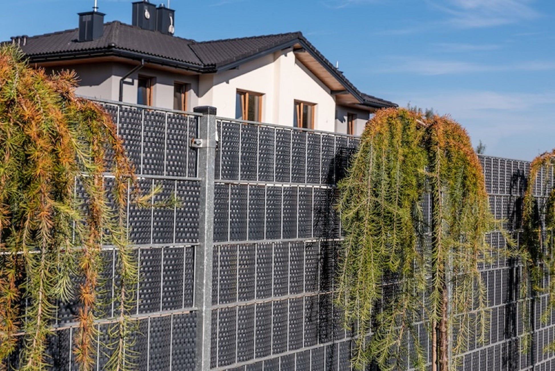 Banda De Ocultación De Polirattán Para Valla Antracita._0