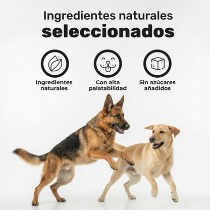 Pack 2x Aceite De Salmón Para Perros. Piel Sana Y Pelo Brillante. Suplementos Mascotas. 240 Masticables. Natuva Pets_5