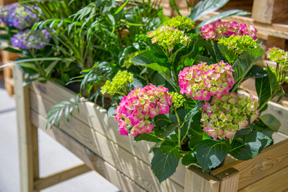 Mesa De Cultivo De Madera 99x39x80cm 80l Huertezuela Autoclave - Madelea.._3