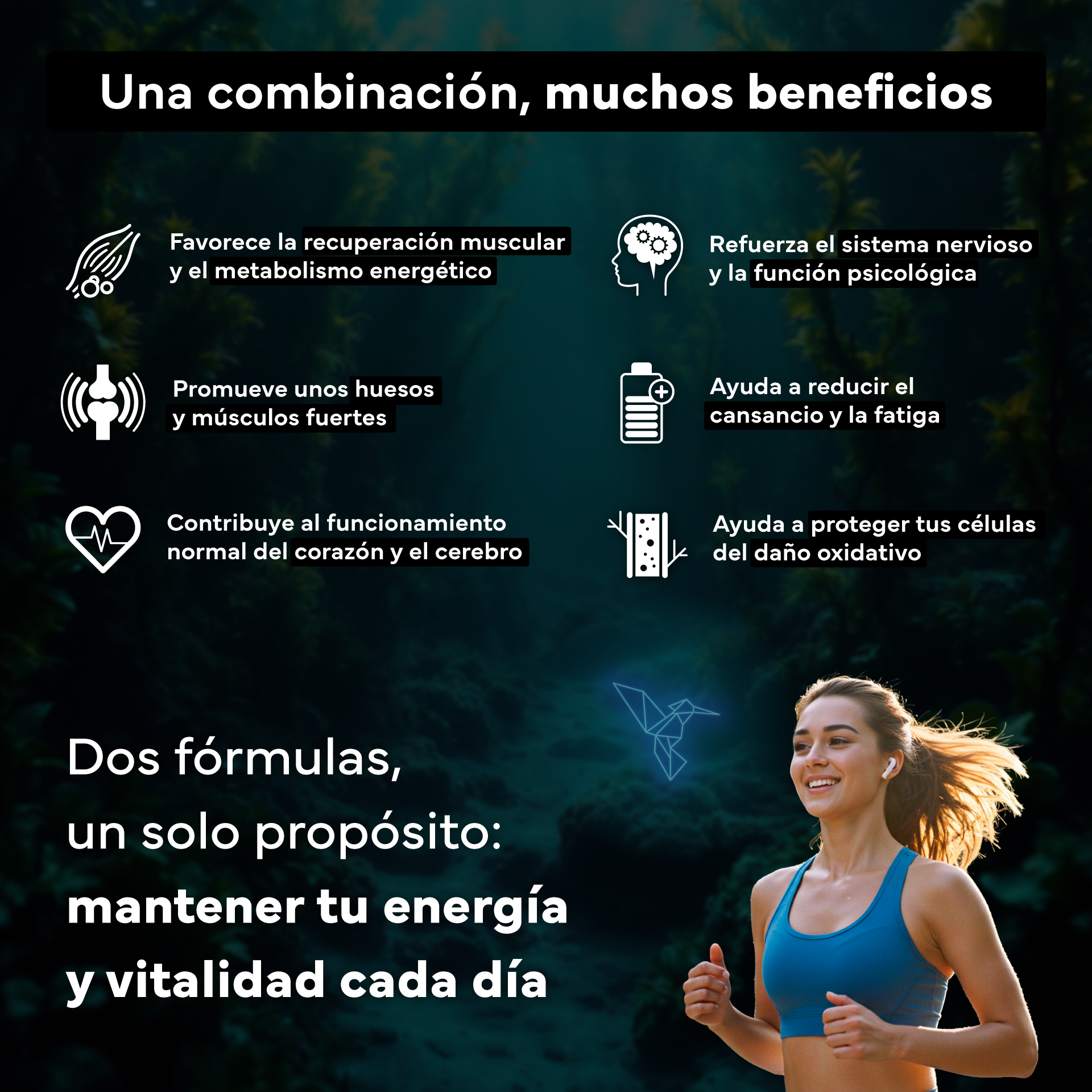 Magnesio Complex 4 En 1 + Omega 3 2000mg Omegatex®. Sevens Nutrition. Energía, Corazón, Cerebro Y Músculos_2
