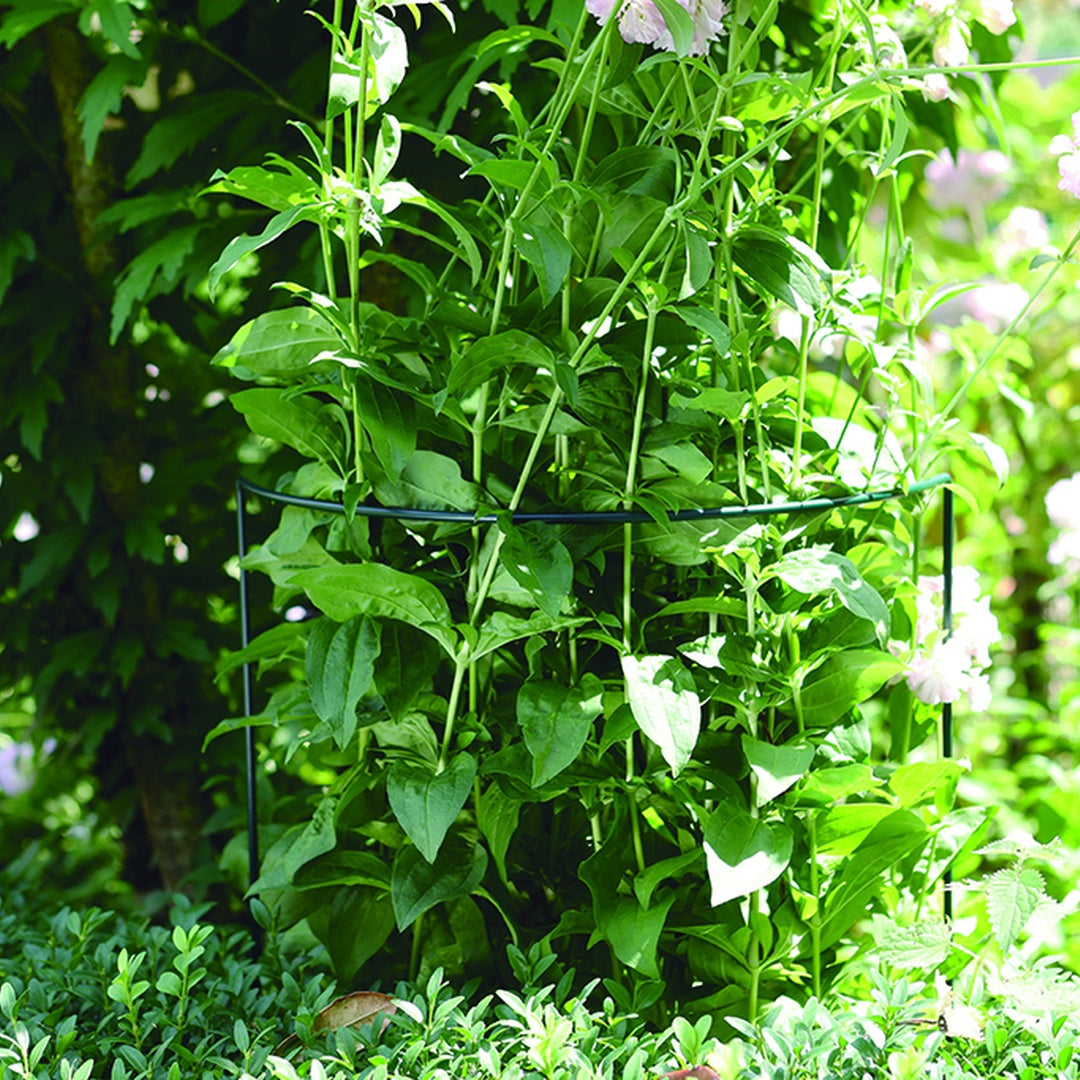 Tutor Soporte Chelsea 45x100 Cm Verde Nortene_1