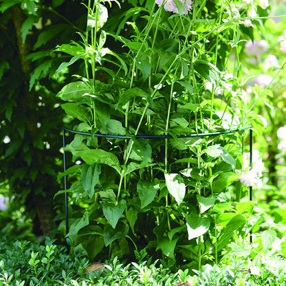 Tutor Soporte Chelsea 45x100 Cm Verde Nortene_1