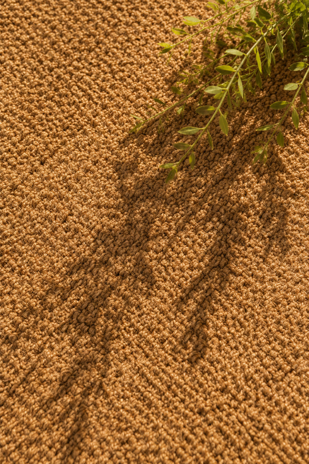 Suelo Y Cercado Coco Exterior 1x3 M 100% Ocultación_3
