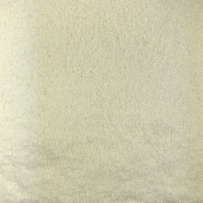Coco Rallado Ecológico Granel 0,5 Kg_2