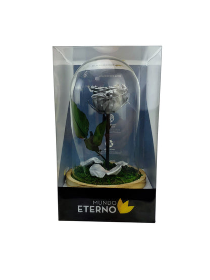 Mundo Eterno Rosa En Cúpula Plata 12x20cm