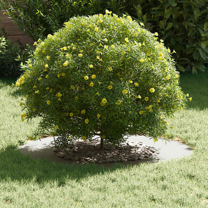 Adecuado Para Anillo De Árbol Plano Ø40/70 Cm Acero_2