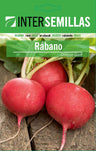 Sobre De Semillas De Rabano Crimson Giant