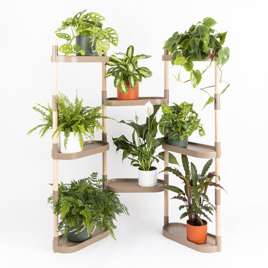 Soporte Modular Citysens De 8 Bandejas – Color Corteza De Pino, Polipropileno 100% Reciclado Y Madera Ecológica Pefc_0