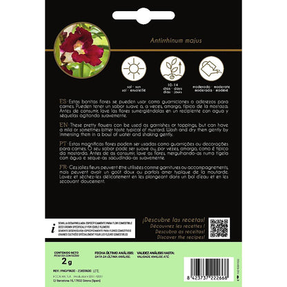 Semillas de flores comestibles de Antirrino Boca De Dragón Rocalba
