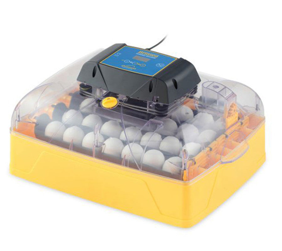 Incubadora Automática Brinsea Ovation 28 Advance Digital - Volteo Automático - Muy Fácil De Usar_0