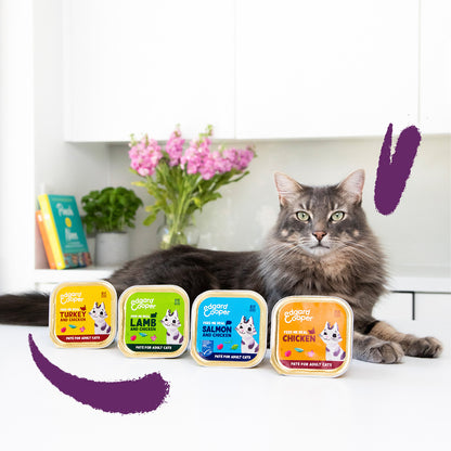 Comida húmeda gatos paté Tarrina Salmón y Pollo Edgard & Cooper 85 g