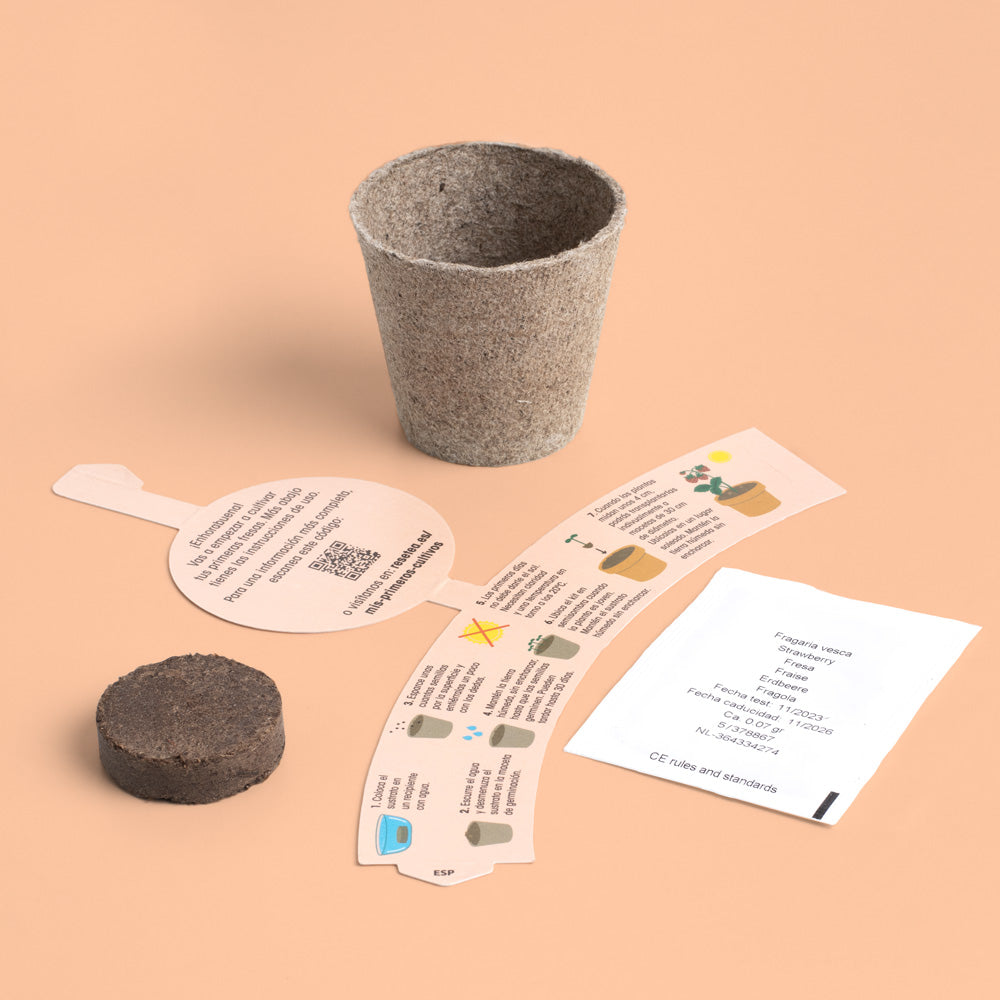 Mi Primer Cultivo De Fresa | Kit Educativo Stem Para Cultivar Fresas En Casa_1