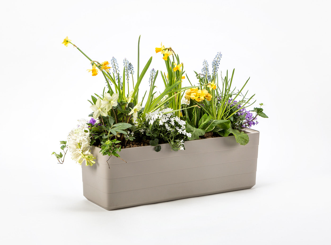 Jardineras Con Autorriego Berberis 60 Blanco/verde.