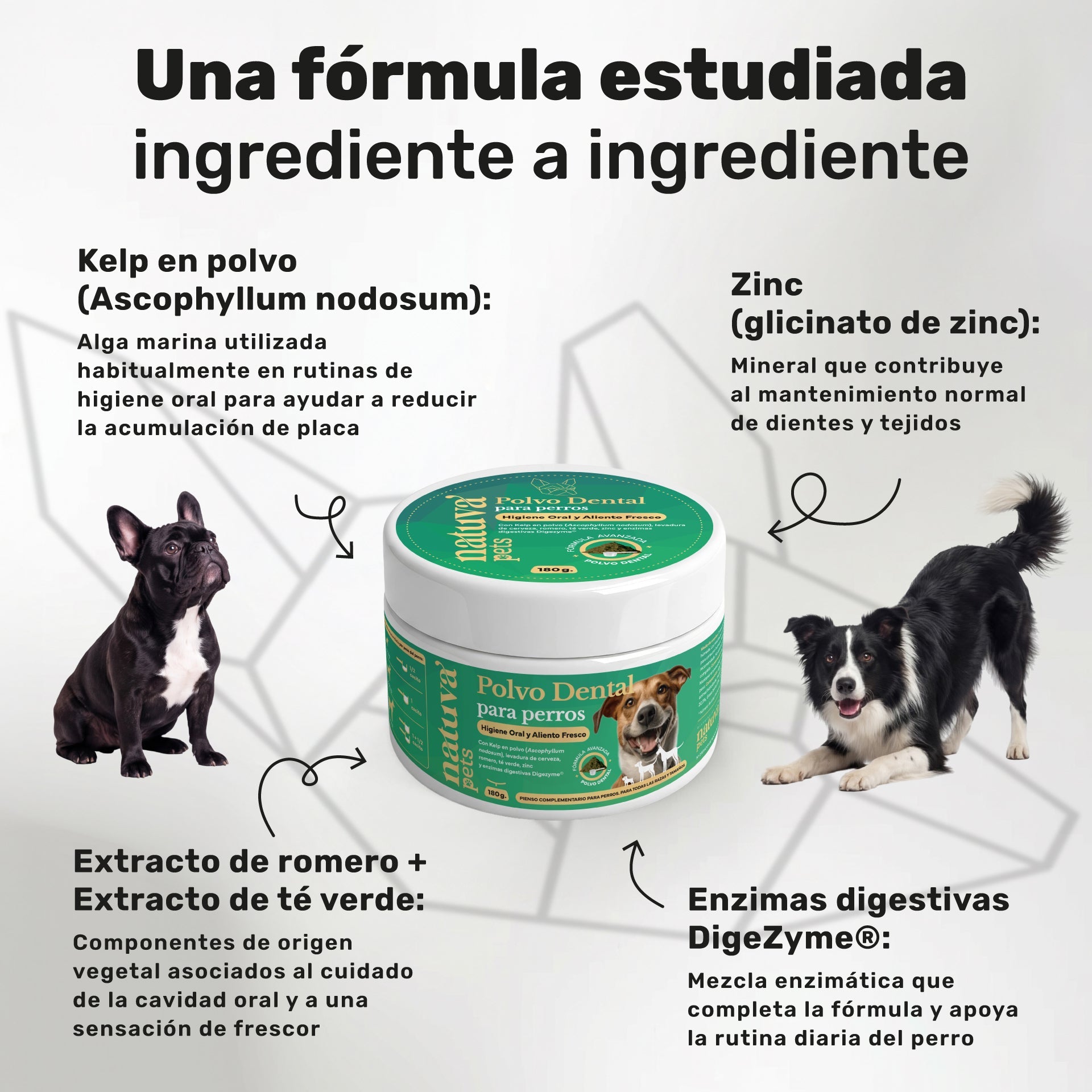 Pack Polvo Dental + Probiótico Para Perros. Suplementos Mascotas. 180 G Y 120 Masticables. Natuva Pets_2