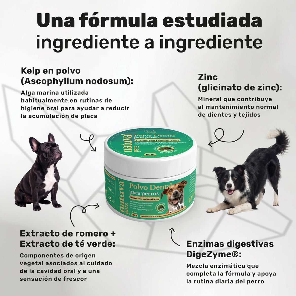 Pack Polvo Dental + Probiótico Para Perros. Suplementos Mascotas. 180 G Y 120 Masticables. Natuva Pets_2