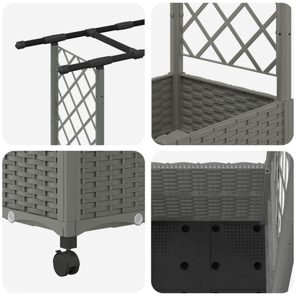 Cama Elevada Con Trellis Y Techo Gris Claro 162,5 X 40 X 142 Cm_5