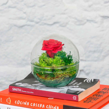 Rosa Eterna Cupula Cristal (12x12 Cm).