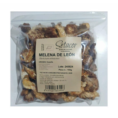 Melena de león deshidratada Eco_0