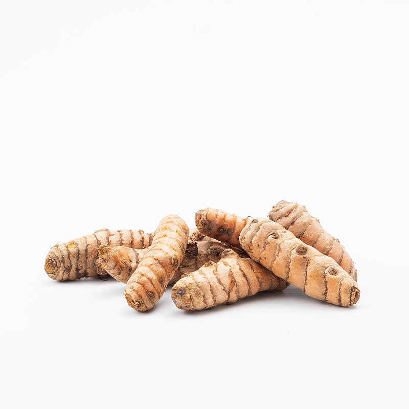 Raíz De Cúrcuma directas desde el campo_1