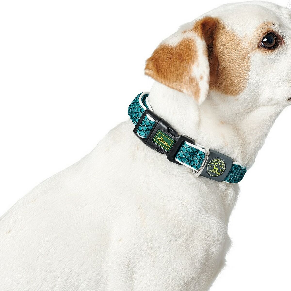 Collar Para Perros Hunter Basic Tema Talla S Verde Neón (30-43 Cm)_0