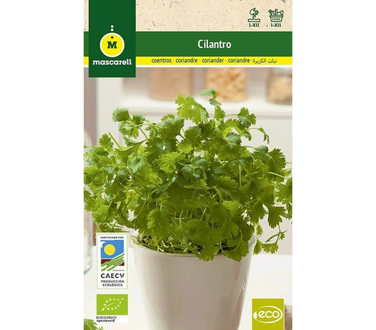 Semillas Cilantro Eco (coriandrum Sativum)_0
