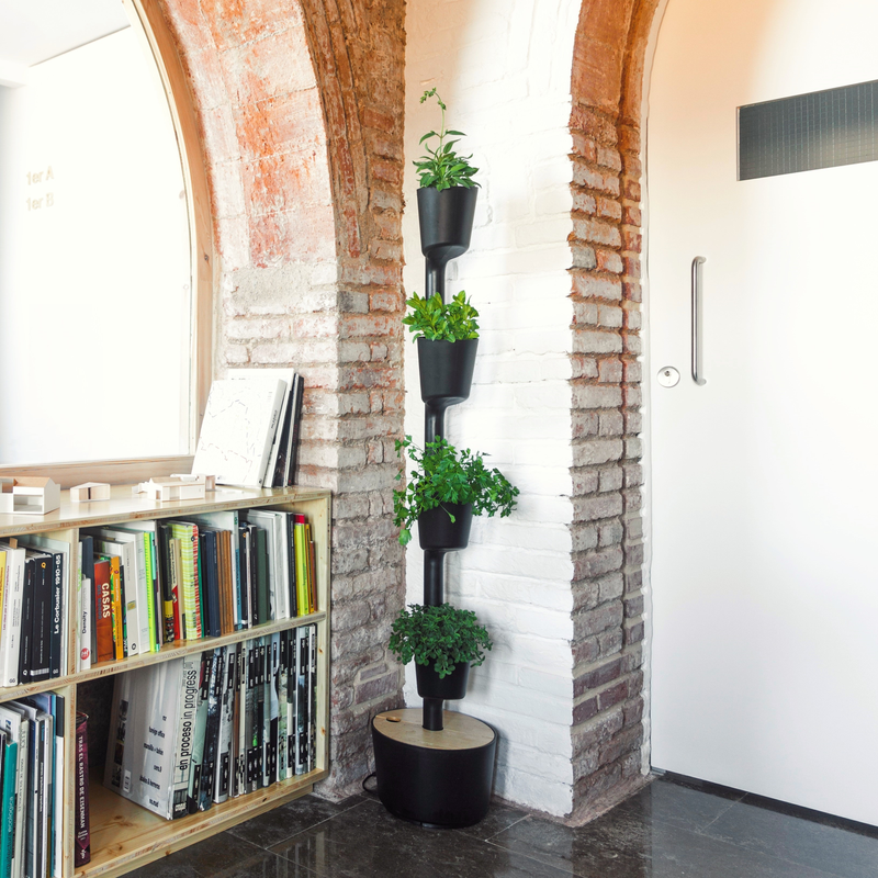 Huerto Vertical De Interior Citysens 4 Macetas Con Autorriego Y Semillas Aromáticas– Negro, Polipropileno 100% Reciclado_1