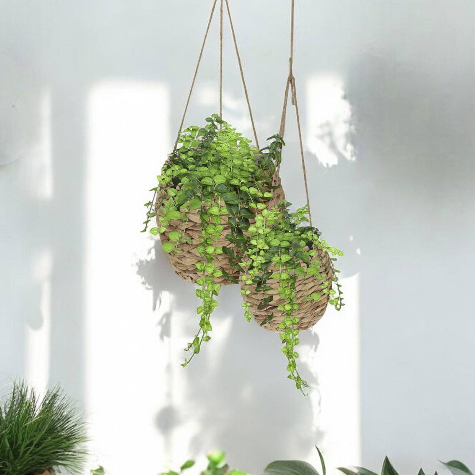 Well Home Juego De 2 Cestas Maceteros De Fibra Natural Ø17ø24cm