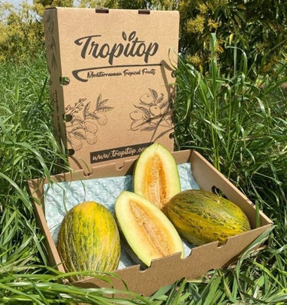 Caja De Melón Piel De Sapo Tropitop Caja De 3 Unidades (aprox. 10 Kg )_1