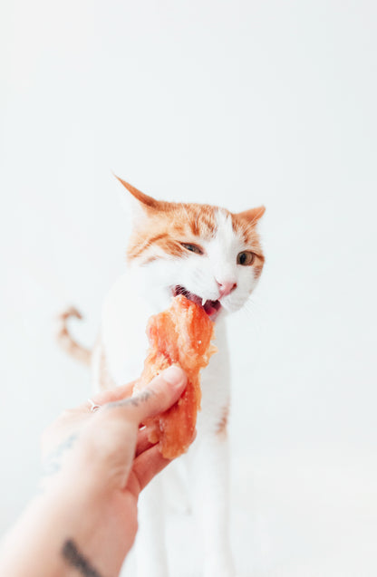 Bimorbox Perros Senior Medianos Y Grandes – Pack Ahorro Con Juguete, Mordedor De Asta De Ciervo Y Snacks Sin Aditivos