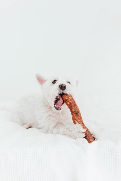 Bimorbox Cachorros Pequeños – Pack Ahorro Con Juguete, Mordedor De Olivo Y Snacks Sin Aditivos