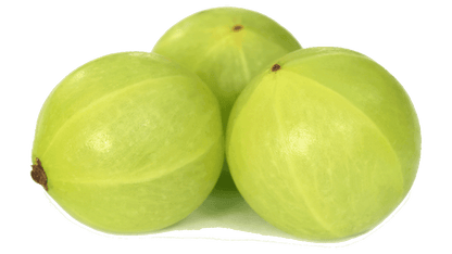 Amla en Polvo BIO | Samskara | para Cabello y Piel | Fuente Natural de Vitamina C, Colágeno y Calcio - 250 gr_4