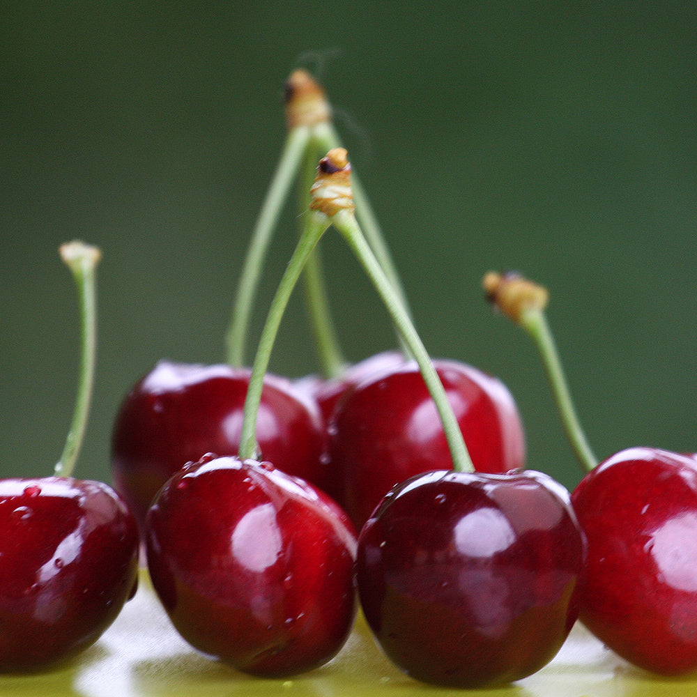 Cerezas del Bierzo. Recolectadas en los cerezos de Corullón. Caja de 2 kilos_3