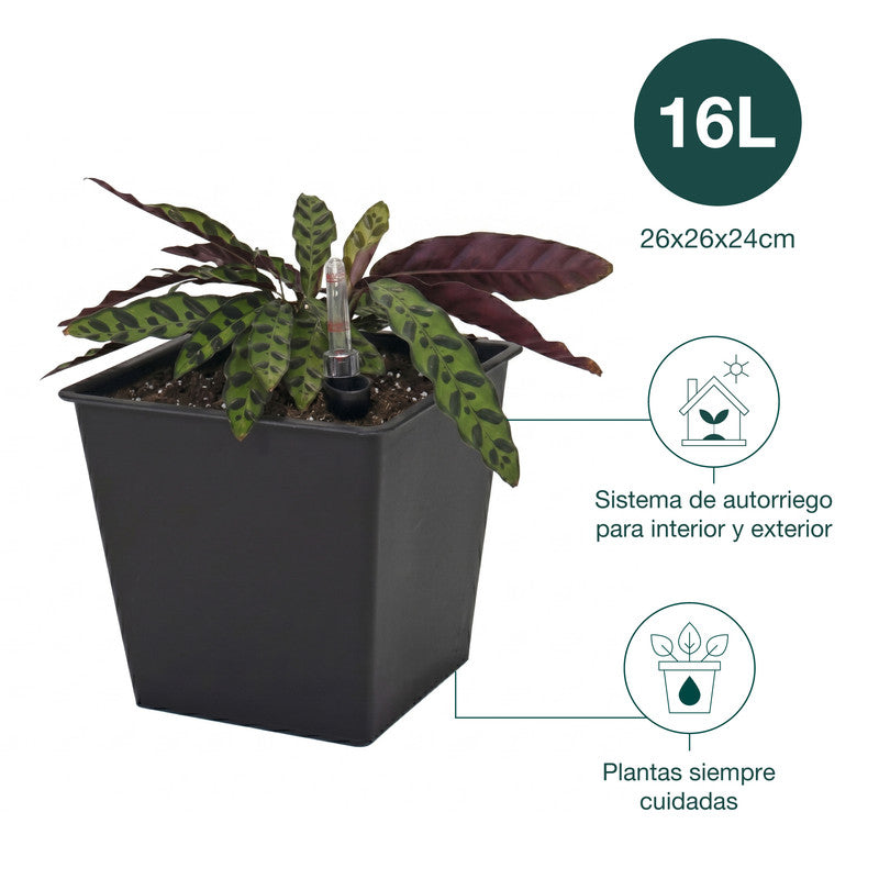 Maceta Con Autorriego De Polipropileno 16 L 26x26x24 Cm Hortalia_4