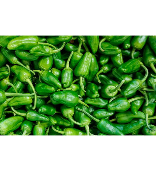 Plantón Pimiento De Padrón (10 Unidades)_0
