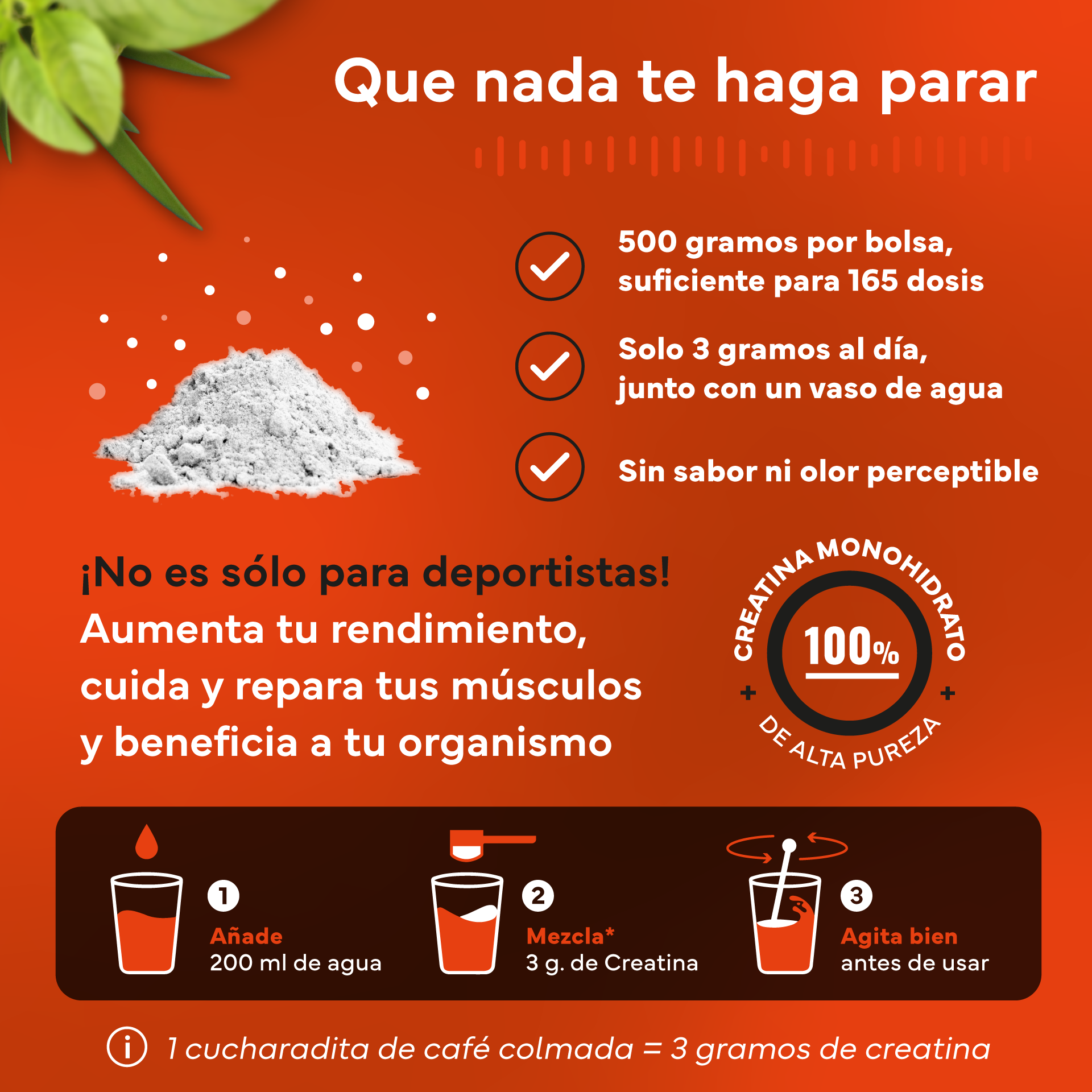 Creatina Monohidratada Sevens Nutrition. Más Fuerza, Energía Y Resistencia.