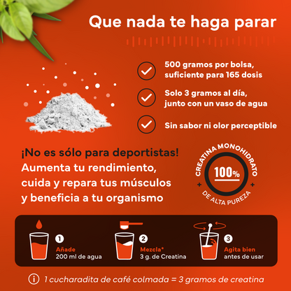 Creatina Monohidratada Sevens Nutrition. Más Fuerza, Energía Y Resistencia._4