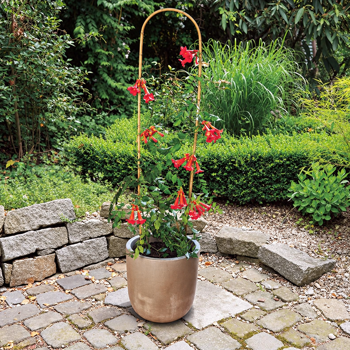 Tutor Arco Bambú 90 Cm Nortene_1