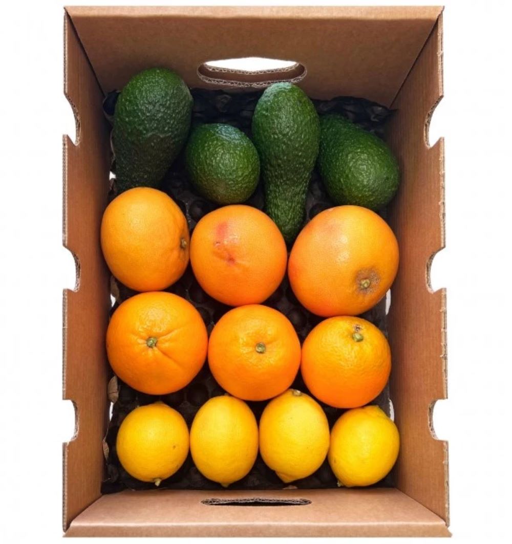 Mix Variado: Naranjas, Aguacates Hass, Pomelos Rojos Y Limones Verna Tropitop 4kg_0