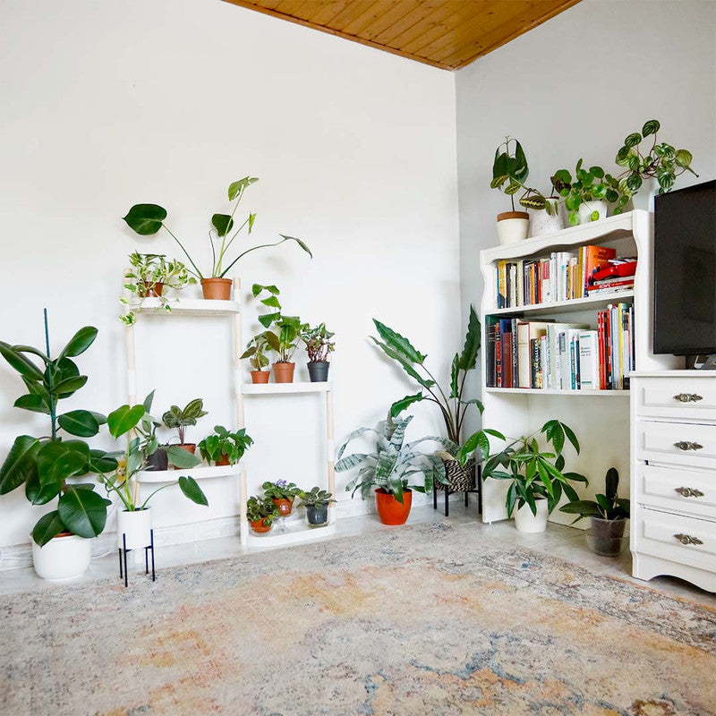 Soporte Modular Citysens De 4 Bandejas Blanco, Con 2 Plantas De Regalo_3