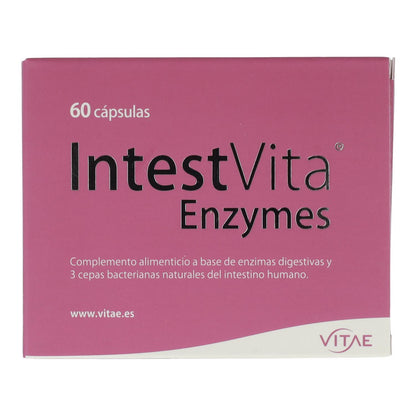 IntestVita Enzymes 15 cápsulas