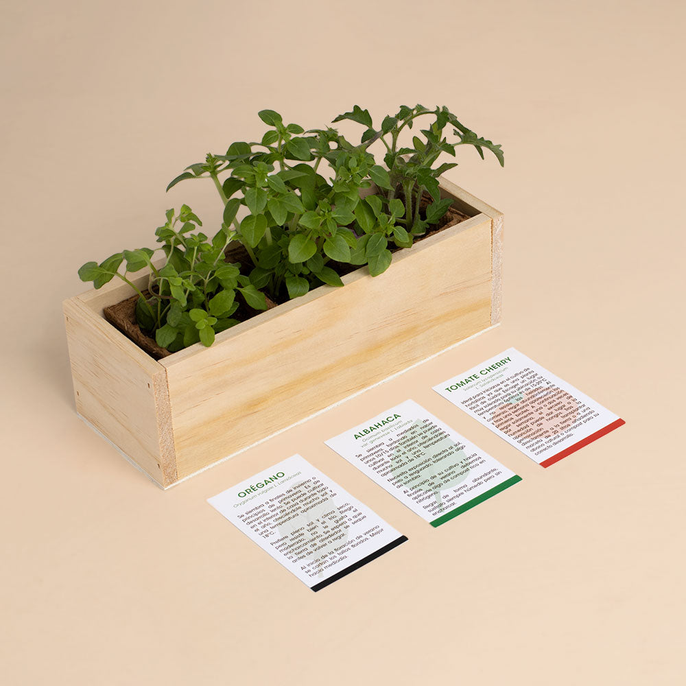 Kit Autocultivo Pizza Orégano, Albahaca y Tomate Cherry | Regalo Original de Cocina - Resetea_2