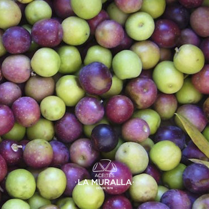 Cortijo La Muralla | Aceite De Oliva Virgen Extra | Variedad Arbequina | Botella 2 L (caja de 8)_4