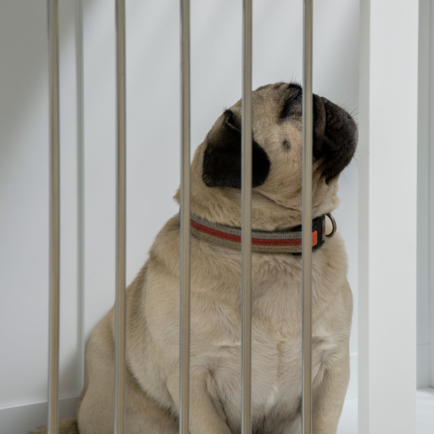 Pawhut Jaula Para Perros Medianos 2 En 1 Mesa Auxiliar Con 2 Puertas Blanco_3