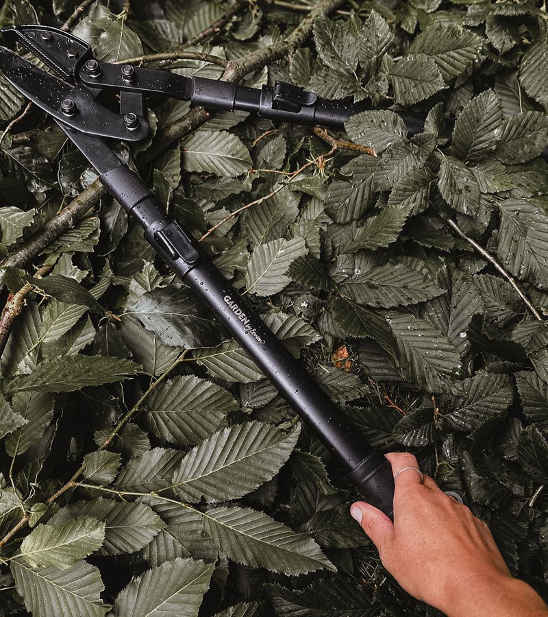 Tijera De Podar Telescópica Deluxe - Metal, 68,5 X 33 X 3 Cm