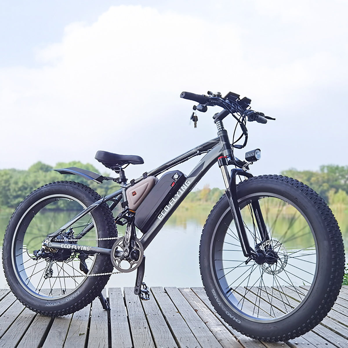Fat Ebike Rich Bit Top-020 1000w-48v-13ah (624wh) - Rueda 26 Color Plateado_1
