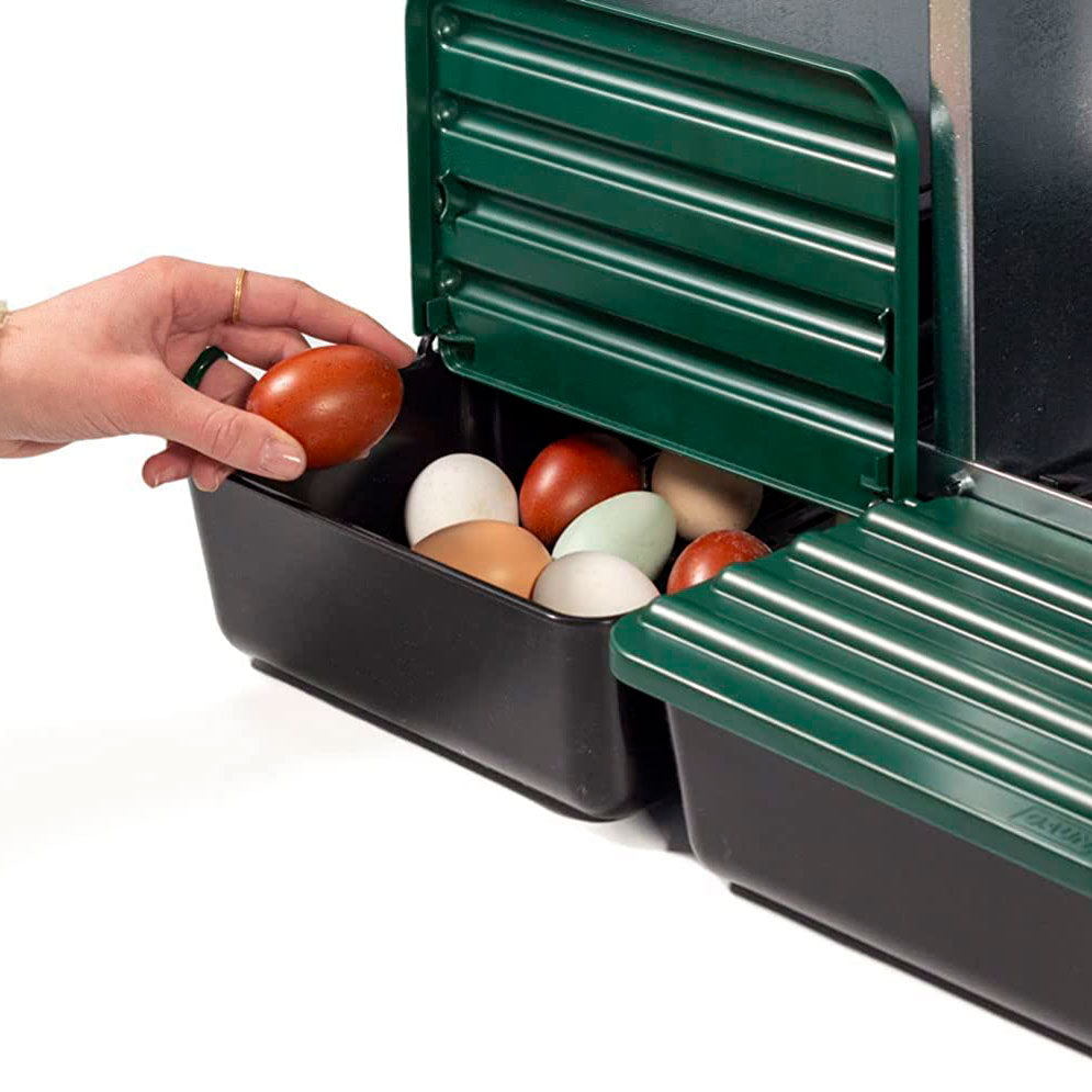Ponedero Eco 3 Huecos Con Escamoteador | Recoge Huevos Más Limpios_2