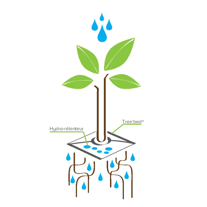 Pack De 10 Cojines De Riego Para Plantas Tree’bed 300.