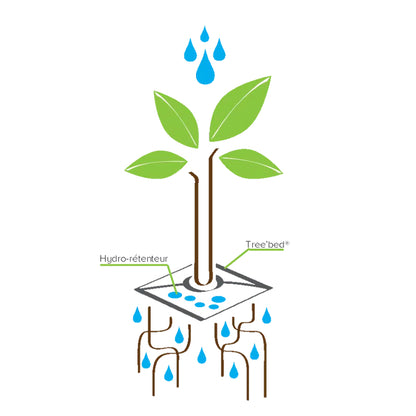 Pack De 10 Cojines De Riego Para Plantas Tree’bed 500.