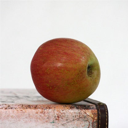 Manzana Fuji Del Bierzo. Caja 10 Kg